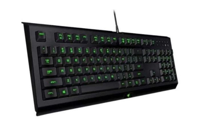 Herní klávesnice Razer Cynosa Lite RZ03-02740600-R3M1 s podsvícením