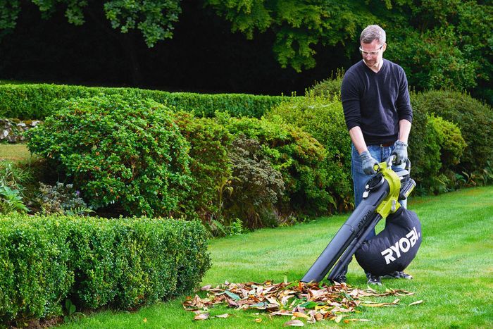 Ryobi RBV36B recenze