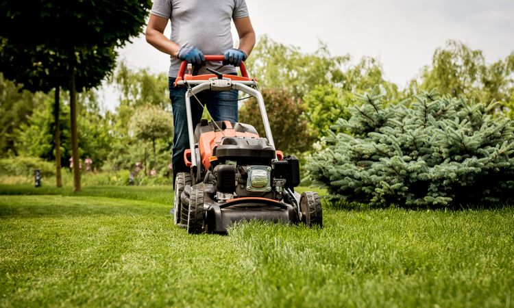 Údržba a péče o benzínovou, elektrickou, aku i robotickou sekačku – čištění, broušení nožů, mazání