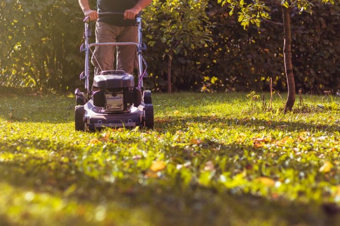 Elektrické a benzínové zahradní sekačky - Jak vybrat sekačku