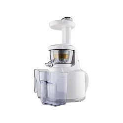 Perfect Juicer G21